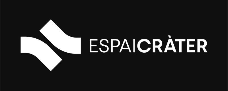 Apartment Sant Francesc Олот Экстерьер фото