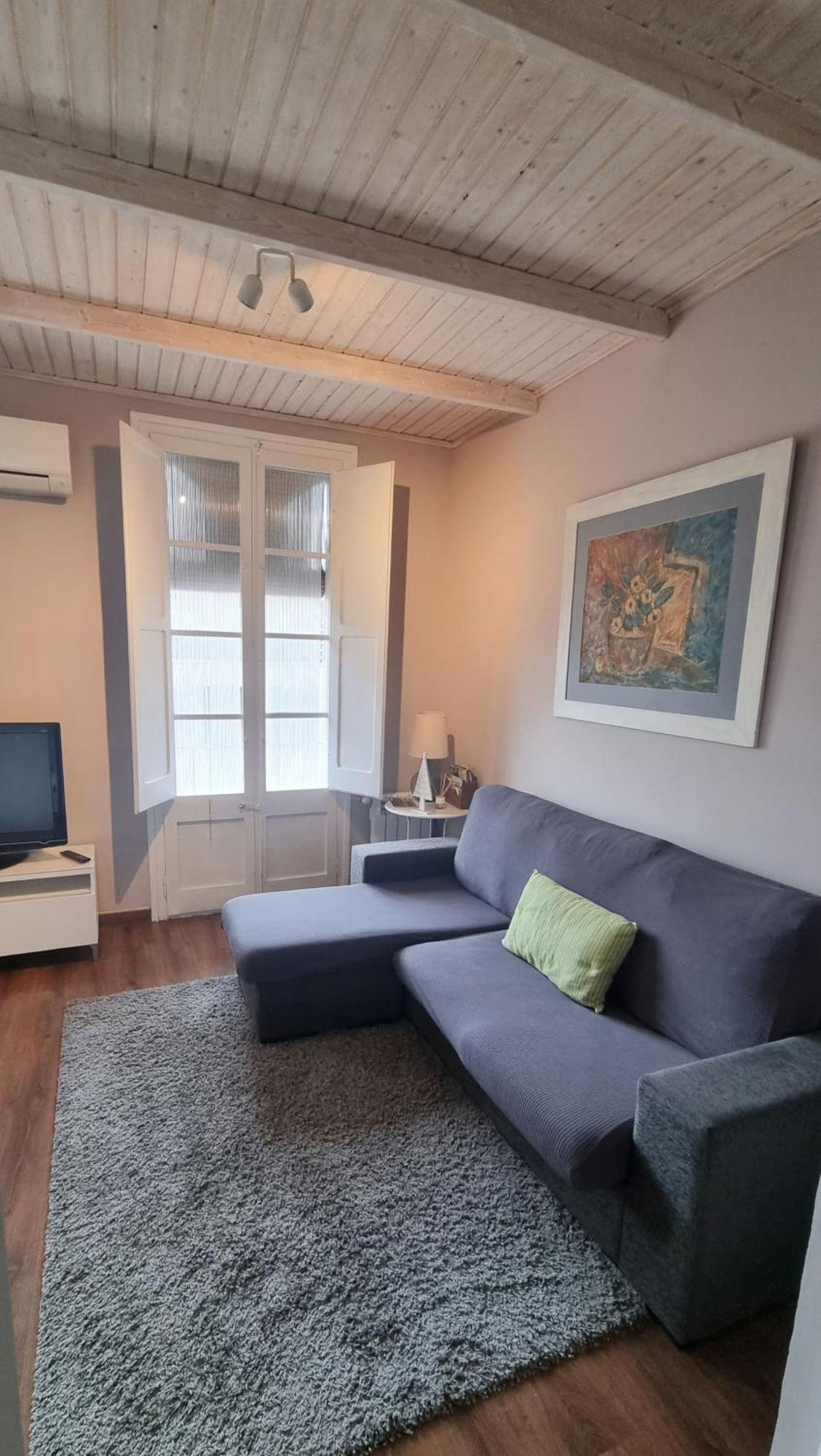 Apartment Sant Francesc Олот Экстерьер фото