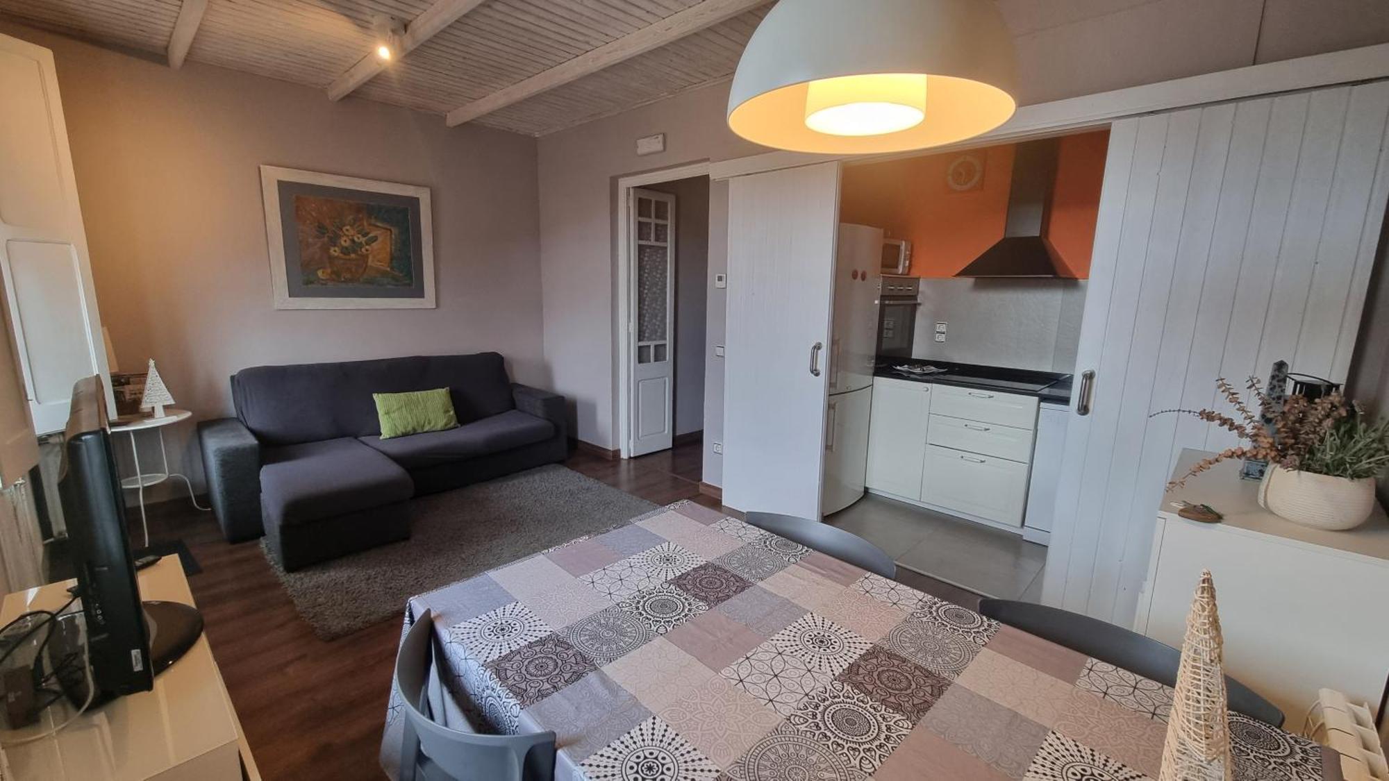 Apartment Sant Francesc Олот Экстерьер фото