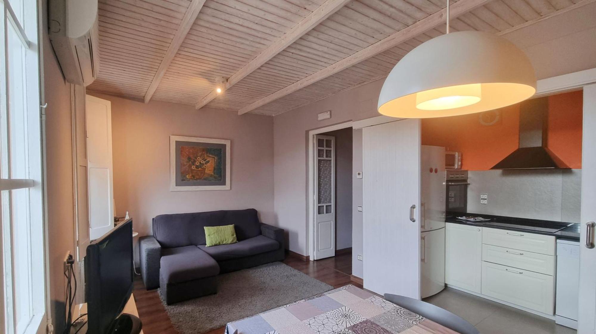 Apartment Sant Francesc Олот Экстерьер фото